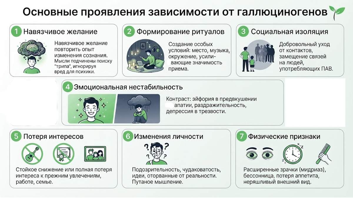 Инфографика: основные проявления зависимости от галлюциногенов.